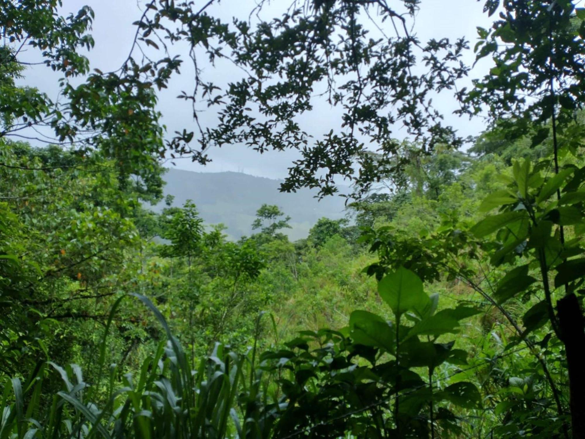 Best Western Hotel & Casino Kamuk Manuel Antonio Luaran gambar